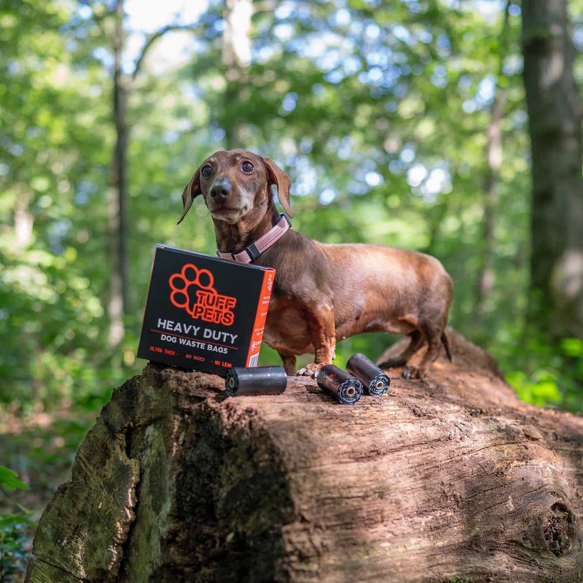 Dog Poop Bags Rolls with Handles V246