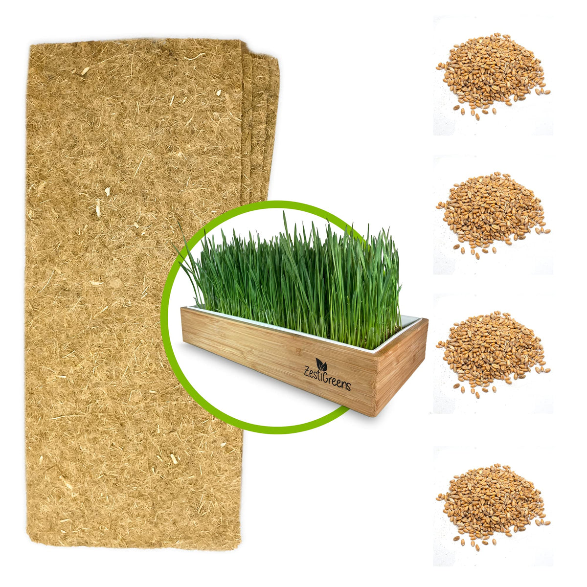 Self-Watering Cat Grass Kit and Refills, 4 Mats and 4 Seed Packets Q688605